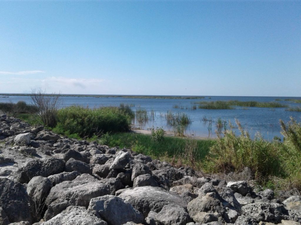 Gallery Gracious Tiny House Park